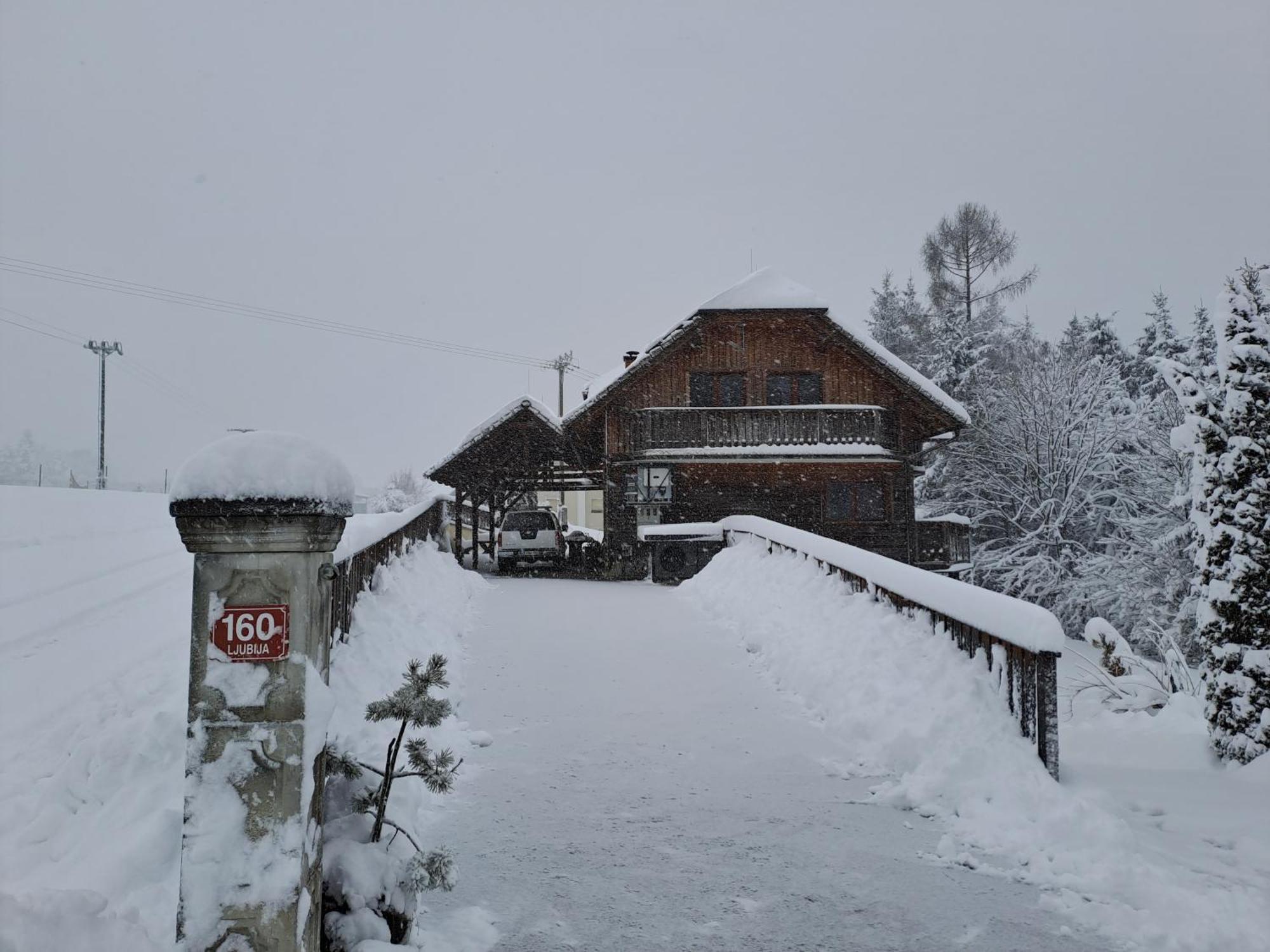 Family House Villa Mozirje Exterior photo